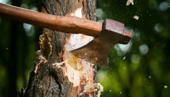 Звуки топора по дереву