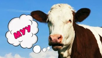 Звуки мычания