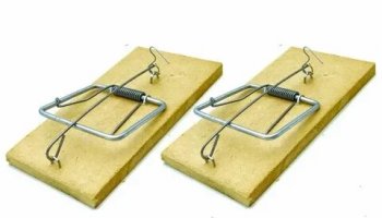 Звуки мышеловки