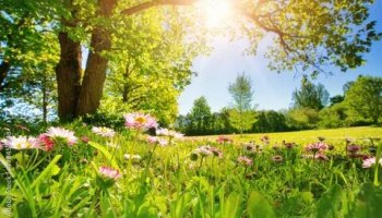 Звуки солнечного дня