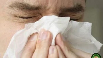 Звуки сморкания