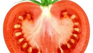 Звуки помидоров