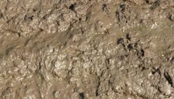 Звуки грязи