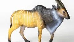 Звуки антилопы