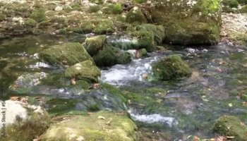 Звуки журчания ручья