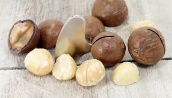 Звуки ореха