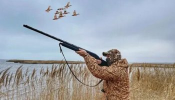 Звуки охоты, природы