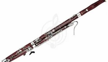 Звуки фагота