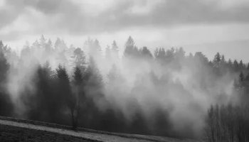 Звуки тумана