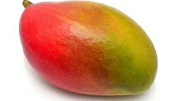 Звуки манго