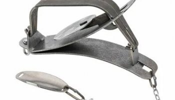 Звуки капкана