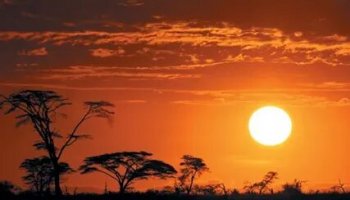 Звуки Африки