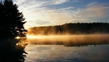 Звуки рассвета