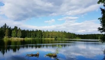 Звуки озера