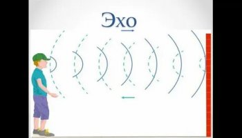 Звуки эха