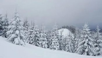 Звуки зимы, снега