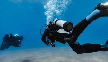 Звуки дайвинга