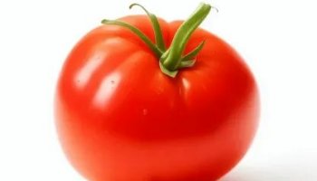 Звуки помидора