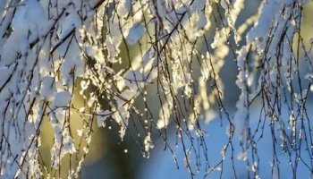 Звуки весенней капели