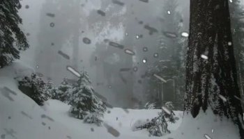 Звуки завывания