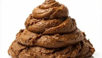 Звуки говна