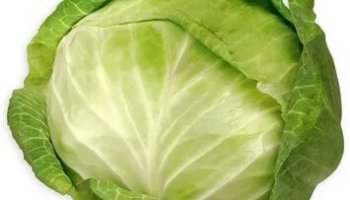 Звуки капусты