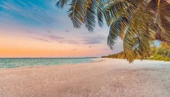 Звуки пляжа