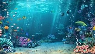 Звуки подводного мира