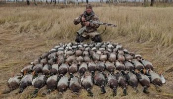 Звуки охоты