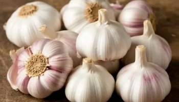 Звуки чеснока