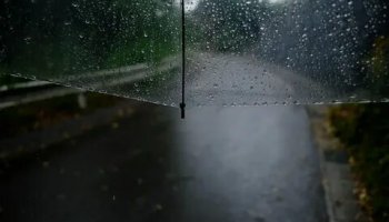 Звуки дождя