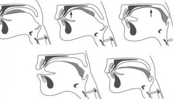 Звуки глотания