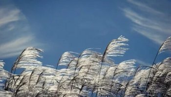 Звуки ветра