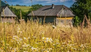 Звуки деревни