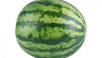 Звуки арбуза