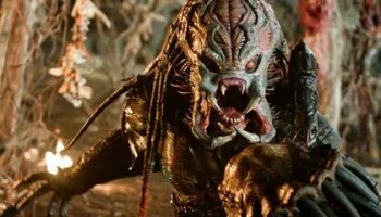 Звуки хищника