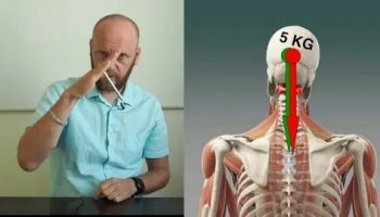 Звуки свернутой шеи