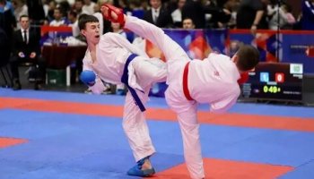 Звуки каратэ