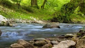 Звуки ручья