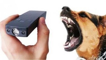 Звуки, пугающие собак