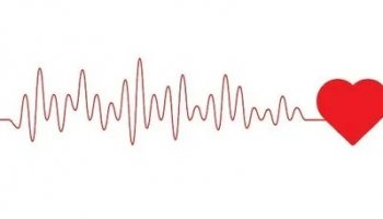 Звуки биения сердца