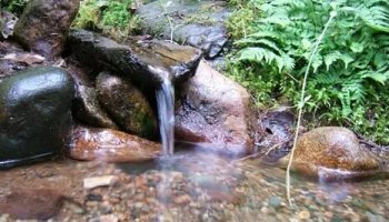 Звуки родника