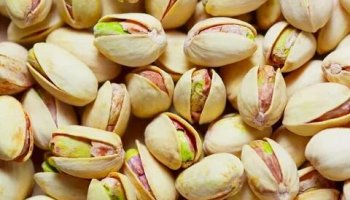 Звуки фисташек